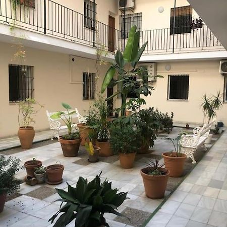 Sevilla San Bernardo Apartamento Экстерьер фото