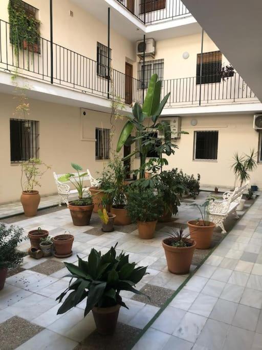 Sevilla San Bernardo Apartamento Экстерьер фото